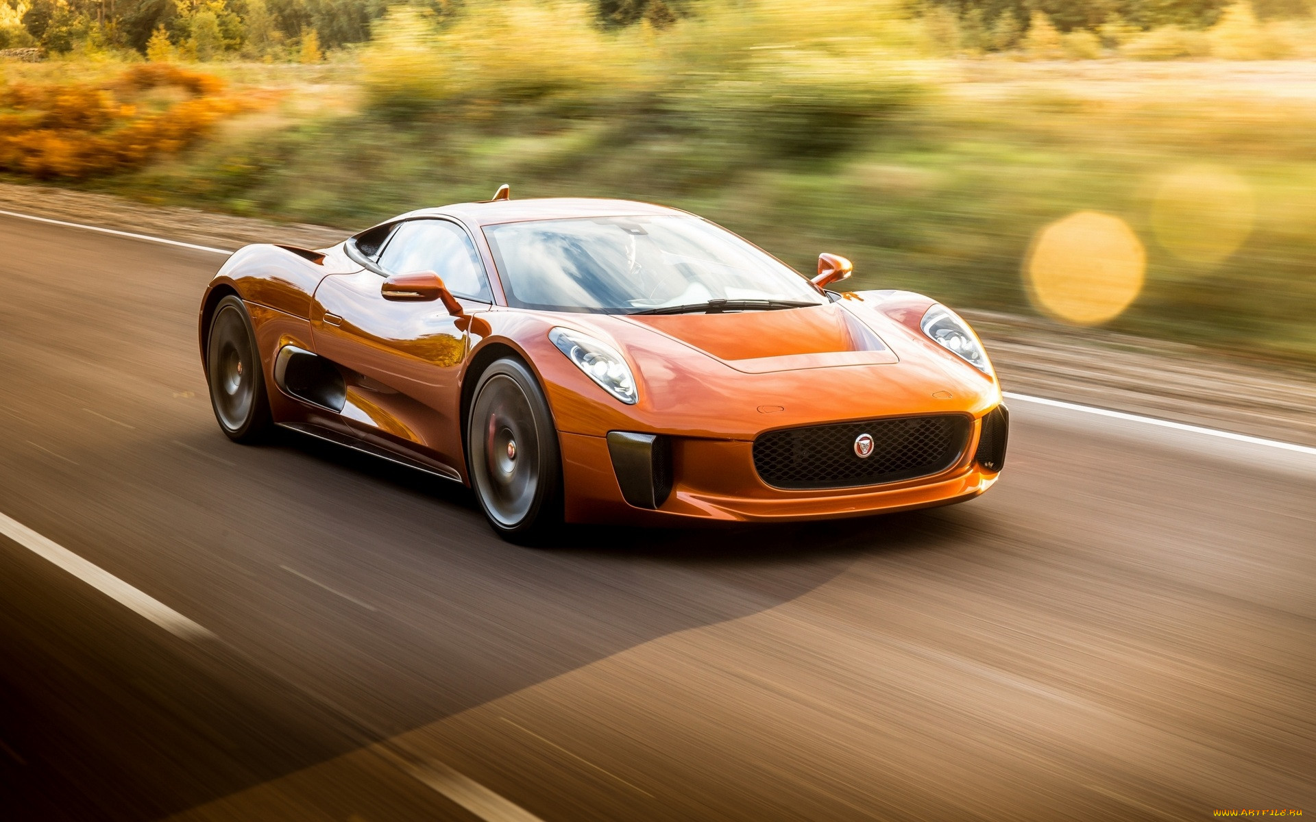 , jaguar, , , , , , 